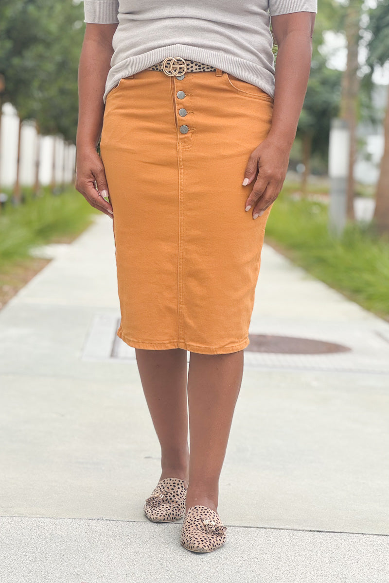 Bria Denim Skirts