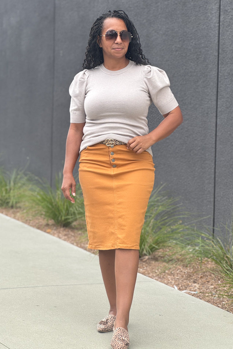 Bria Denim Skirts