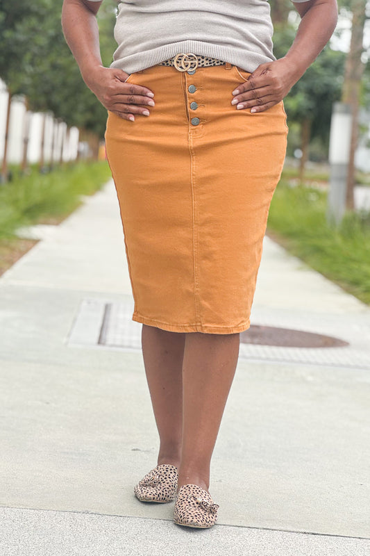 Bria Denim Skirts